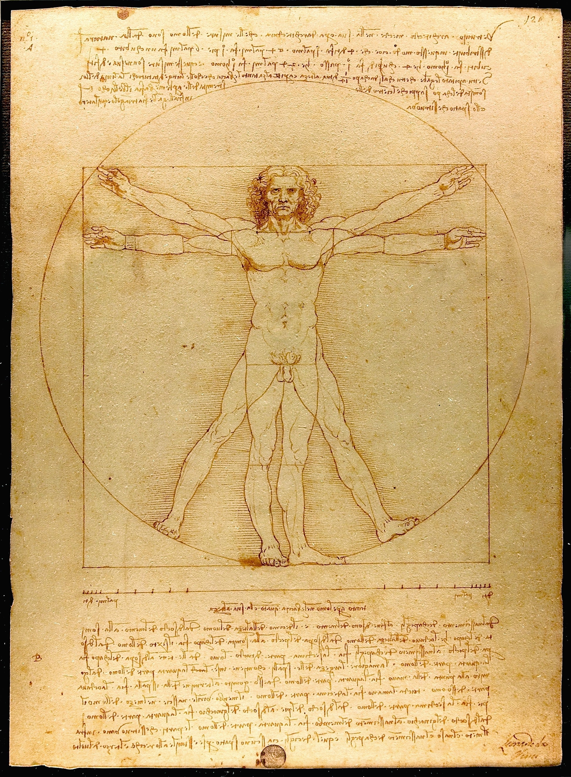 Vitruvian - original | Impressium
