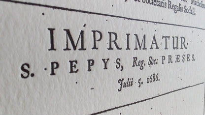 Principia | close up - Impressium