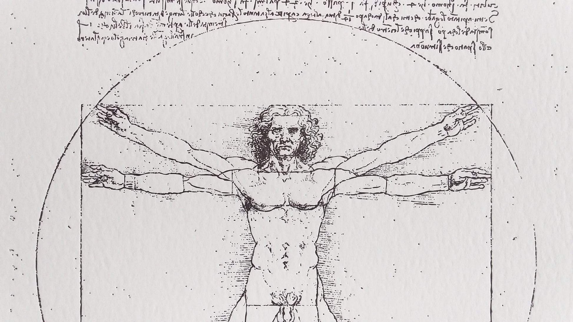Vitruvian | close up - Impressium