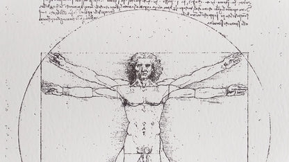 Vitruvian | close up - Impressium
