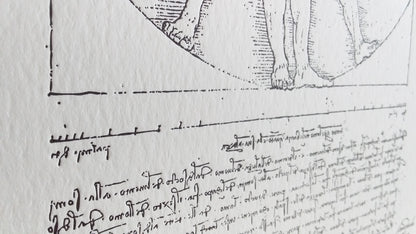 Vitruvian | close up - Impressium